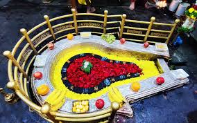 Bhimashankar Panchopchar Puja